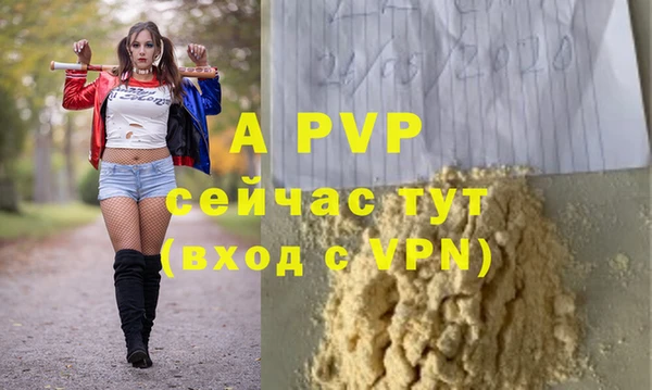 стафф Абинск