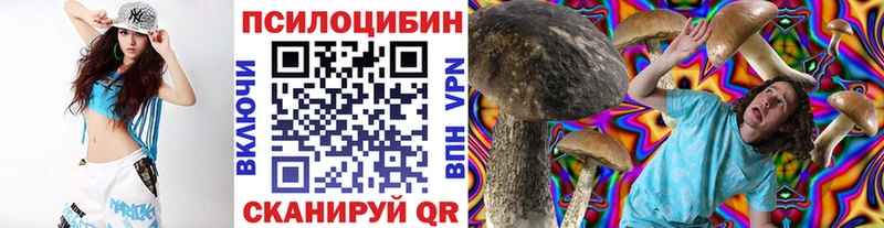 OMG как войти  купить  сайты  Александров  Галлюциногенные грибы MAGIC MUSHROOMS 